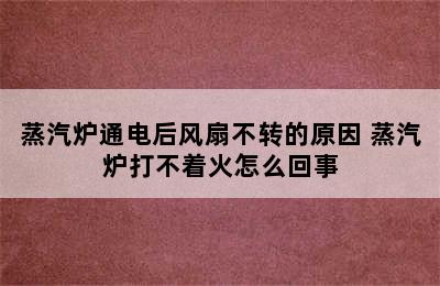 蒸汽炉通电后风扇不转的原因 蒸汽炉打不着火怎么回事